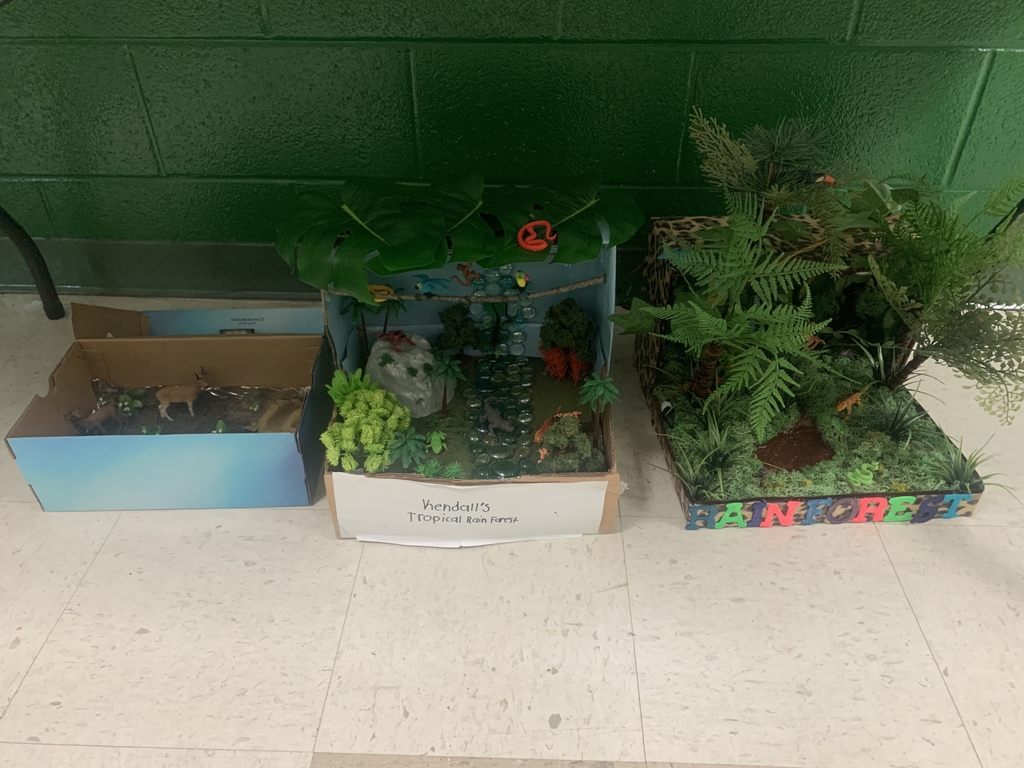 West Hamlin Biome Projects
